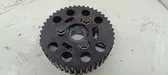 Camshaft pulley/ VANOS