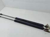 Tailgate/trunk strut/damper