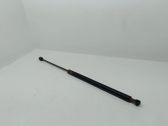 Tailgate/trunk strut/damper