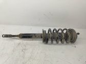 Front shock absorber/damper