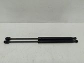 Front bonnet/hood damper/strut