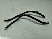 Wires (starter motor)