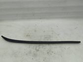 Windshield trim