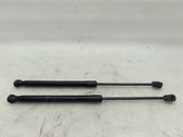 Tailgate/trunk strut/damper