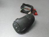 Multifunctional control switch/knob