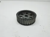 Fuel pump gear (pulley)