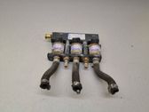 Inyector de gas GLP