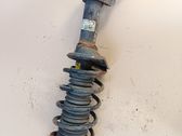 Rear shock absorber with coil spring