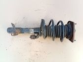 Front shock absorber with coil spring