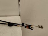 Selector caja de cambios