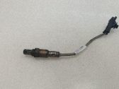 Sonde lambda
