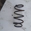 Front coil spring