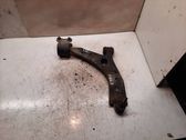 Front lower control arm/wishbone