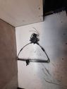 Rear door window regulator motor