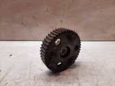 Fuel pump gear (pulley)