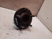 Rear wheel hub