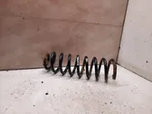 Rear coil spring