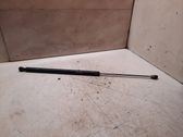 Tailgate/trunk strut/damper