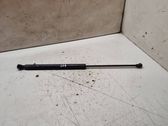 Tailgate/trunk strut/damper