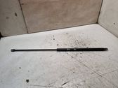 Amortiguador/puntal del capó/tapa delantero