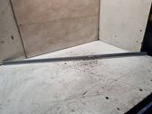 Front door trim (molding)