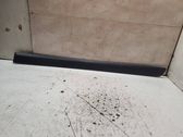 Listón embellecedor de la puerta delantera (moldura)
