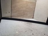 Listón embellecedor de la puerta delantera (moldura)