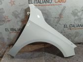 Guardabarro