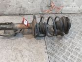 Amortiguador delantero con muelle espiral