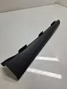 Other sill/pillar trim element