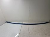 Roof trim bar molding cover