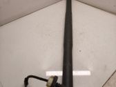 Tailgate/trunk strut/damper