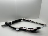 Airbag del techo