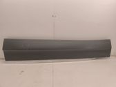 Front door trim (molding)
