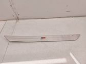 Front sill trim cover