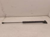 Tailgate/trunk strut/damper