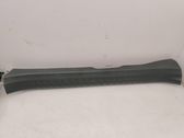 Front sill trim cover