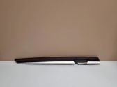Other rear door trim element