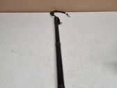Tailgate/trunk strut/damper
