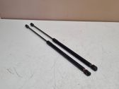 Tailgate/trunk strut/damper
