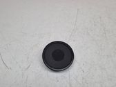 Front door high frequency speaker