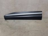 Front door trim (molding)