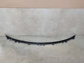 Windshield trim
