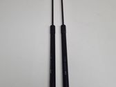 Tailgate/trunk strut/damper