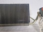 Air conditioning (A/C) radiator (interior)