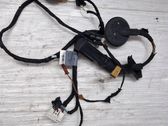 Front door wiring loom