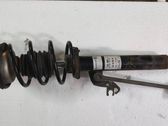 Front shock absorber with coil spring