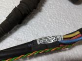 Other wiring loom