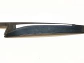 Rear door glass trim molding