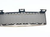 Front bumper lower grill
